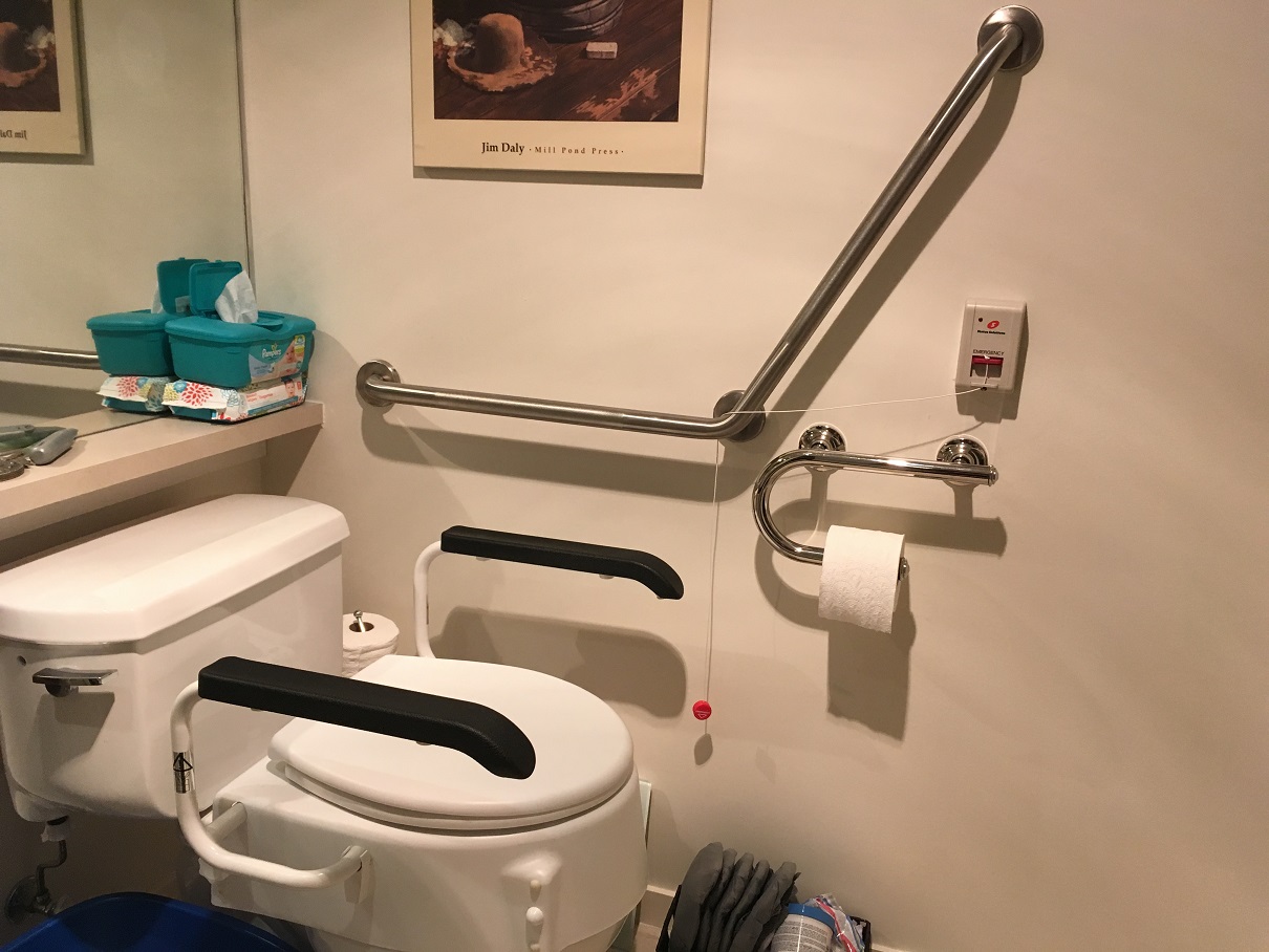 Image of Grab Bars in a bathroom