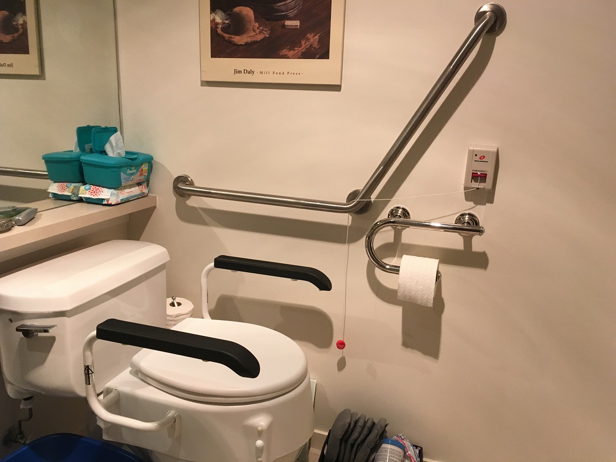 Image of bathroom with bathroom safety products installed like grab bar.
