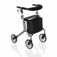 Let’s Move Rollator thumbnail