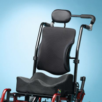 Ride Custom Backrest Image thumbnail